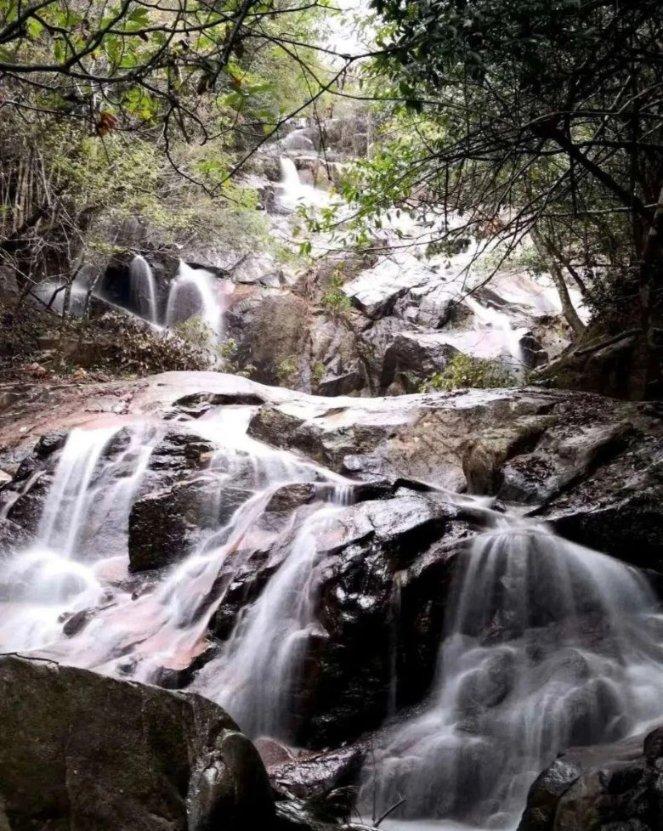 今天才知道，苹果甜不甜，看一眼这里就知道，一挑一个准，很实用